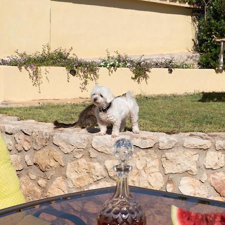 Argoulidhés Sunny Hideaway Residence Close To The Nature מראה חיצוני תמונה